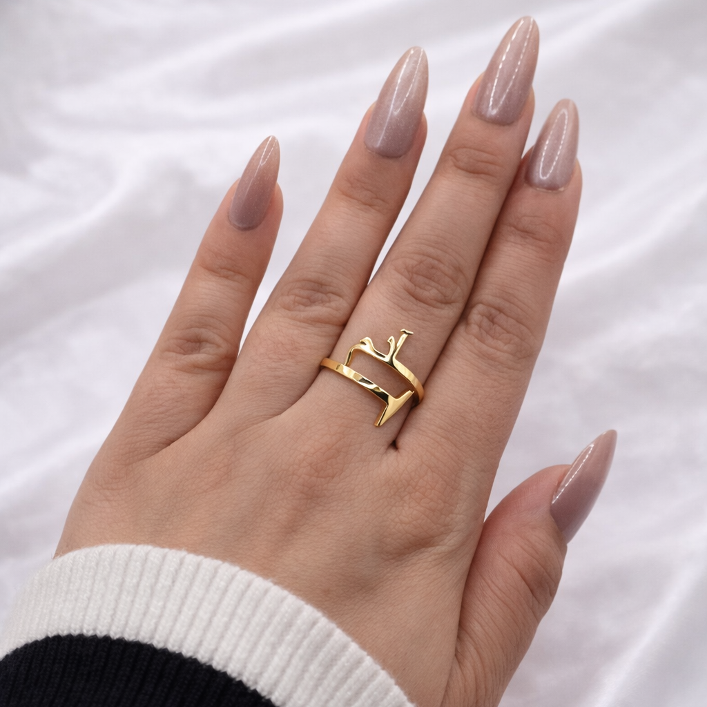 Custom Name and Map Ring